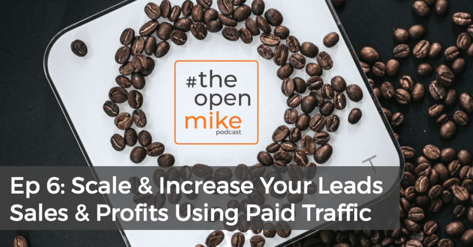 Scale & Increase Your Leads Sales & Profits Using Paid Traffic